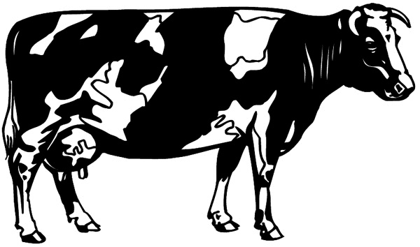 Holstein milk cow vinyl sticker. Customize on line.       Animals Insects Fish 004-1153  